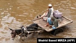آرشیف
