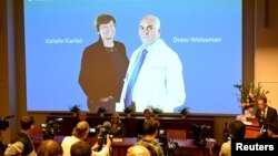 Моментът, в който Каталин Карико и Дрю Уайсман бяха обявени за нобелови лауреати в Стокхолм, Швеция, 2 октомври 2023 г.