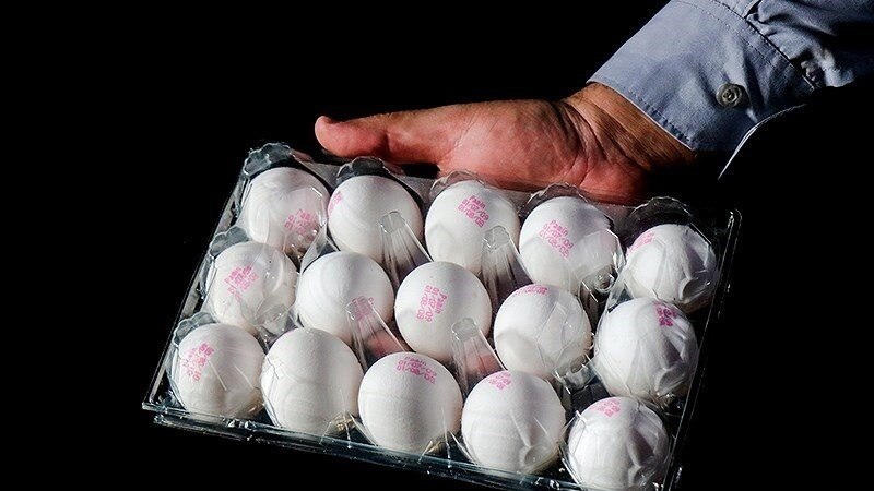 قیمت تخم‌مرغ به دانه‌ای «چهار هزار تومان» رسید