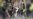 16x9 Image