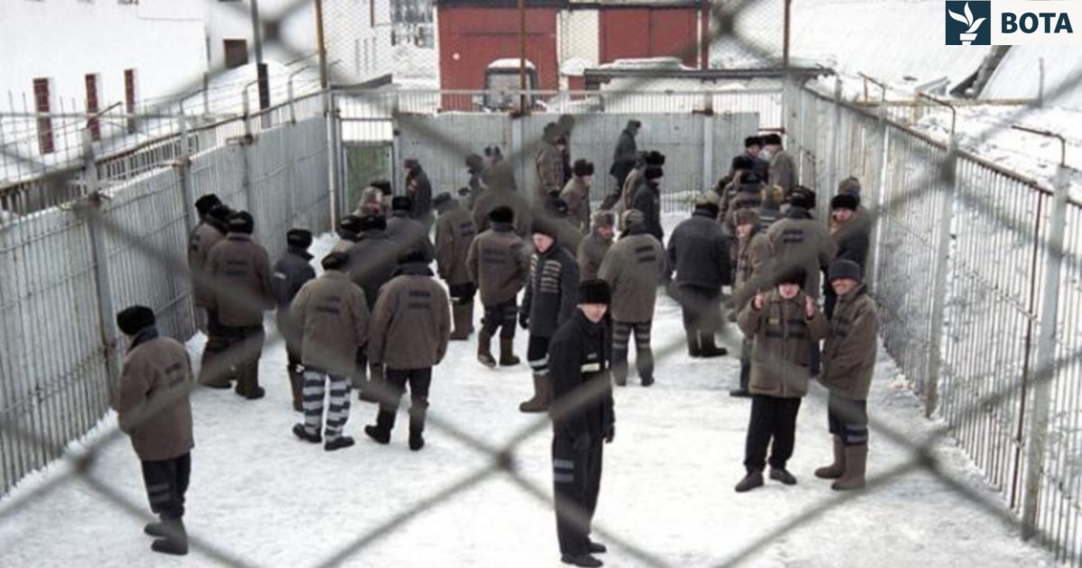  Doktori Shpirtlig   Ushtarëve ukrainas u fanitet tmerri i një burgu rus