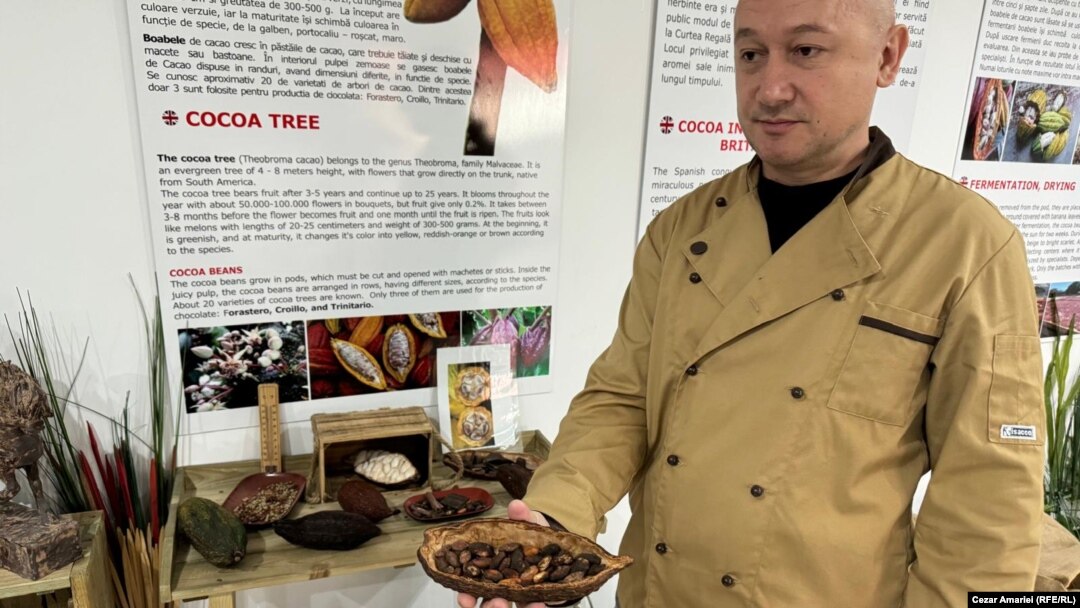 Ghidul Muzeului Ciocolatei din București, Marius Rădoi, arată boabele de cacao din care este procesată ciocolata