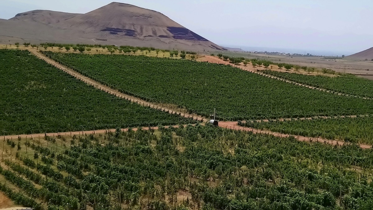 Armenian Agriculture Stagnates Despite Robust GDP Growth