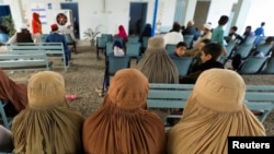 تعدادی از مهاجرین افغان در دفتر اداره پناهنده گان سازمان ملل در پاکستان 