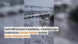 Лозвабаьллачу хIордо Къилбехь а, Кавказехь а йитина тIаьхье