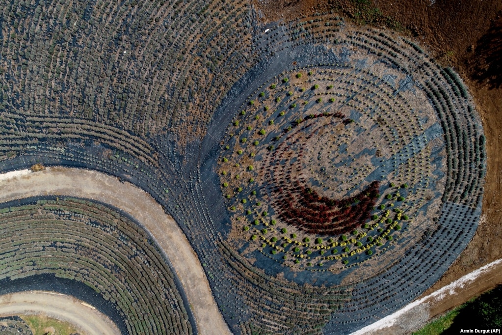 “Zhvillimi i këtij projekti më mësoi se çfarë do të thotë të kesh fokus në jetë, gjë që më ndihmoi të kuptoj veprat e shumë artistëve, përfshirë Van Goghun. Gjithashtu, më mësoi se cili është çmimi i të qenët i fokusuar në diçka për shumë e shumë vite”, tha Zulic.