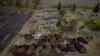 An aerial photo shows freshly dug graves at the cemetery in the village of Hroza, near Kharkiv, where at least 55 people were killed in a missile attack on October 5. 