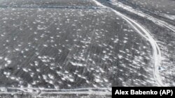 Воронки от снарядов в полях под Бахмутом, аэросъемка, 22 ноября 2023 года