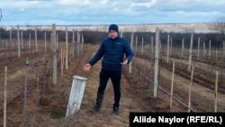 Heorhij Molcsanov a szőlőjébe fúródott bombadarab mellett a Mikolajivi területen