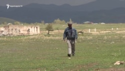 Ռուսական բազայի կրակադաշտը շարունակում է որպես արոտավայր օգտագործվել