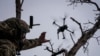 Një ushtar ukrainas duke lëshuar një dron kamikaz të llojit FPV, afër qytetit të Bahmutit në rajonin e Donjeckut. 12 dhjetor 2023. 
