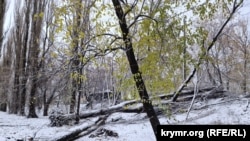 Шторм в Симферополе, 27 ноября 2023 года