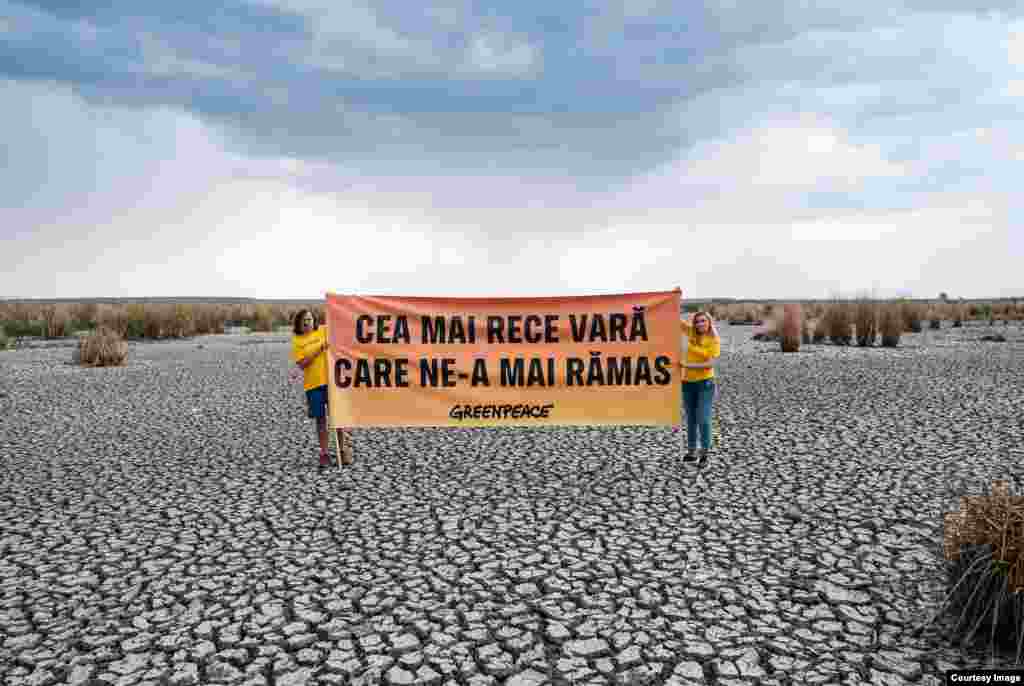 Parcul Natural Comana, cunoscut ca Delta Neajlovului sau Balta Comana este a doua ca biodiversitate, dar și ca suprafaţă, din România, după Delta Dunării. În prezent, arată mai puțin a deltă și mai degrabă ca un teren viran cu trestii pe alocuri. De vină e seceta, iar de vină pentru secetă suntem și noi, oamenii, spun protestatarii organizației de mediu Greenpeace - România. &nbsp;