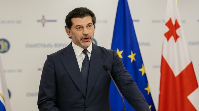 Каладзе: если что-то и было сделано на европейском пути – это заслуга «Грузинской мечты»