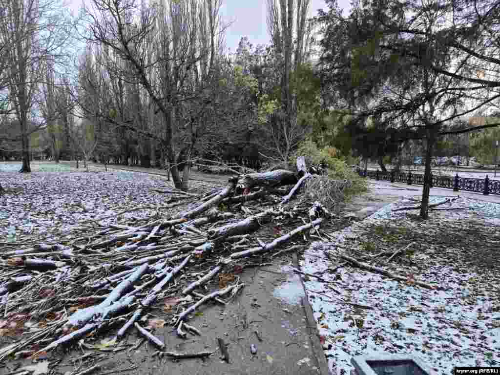 Некоторые деревья падали с такой силой, что разлетались от удара об землю