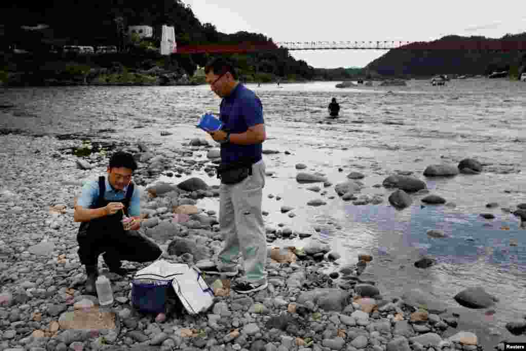 A Gifu Egyetem két professzora, Morihiro Harada (jobbra) és Sigeja Nagajama vizet gyűjt a folyó halainak környezeti elemzéséhez a Nagara-folyóból 2023. szeptember 12-én. A környezeti változások miatt az aju folyami halak egyre kisebbek és egyre kevesebben vannak. A folyó emelkedő hőmérséklete egy hónappal késlelteti az aju ívási időszakát