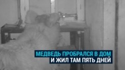 В селе в Кыргызстане медведь залез в дом егеря и устроил там погром, а егерь этому только рад