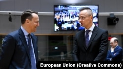 BELGIUM -- Polish minister of foreign affairs Radoslaw Sikorski and Hungarian minister of foreign affairs Peter Szijjarto, Brussels, Belgium, January 22, 2024