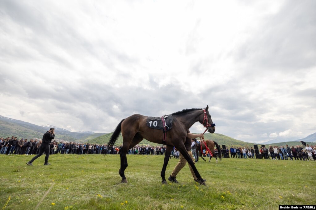 Para nisjes së garës, pjesëmarrësit prezantuan kuajt e tyre para qindra qytetarëve që u mblodhën në Mejdan për të ndjekur garën.  
