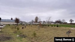 Cimitirul Inocenților din Siret (jud. Suceava) este locul în care au fost înmormântați copiii morți la căminul-spital din oraș.