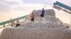 A large pile of harvested raw cotton is harvested near Shymkent, Kazakhstan, in September 2022.