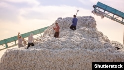 A large pile of harvested raw cotton is harvested near Shymkent, Kazakhstan, in September 2022.