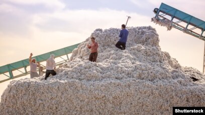 Why Banned Cotton From China Is So Hard to Keep Out of the U.S.