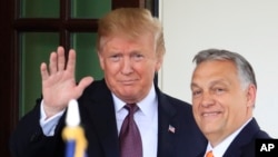 Представники виборчого штабу Трампа повідомили, що сторони обговорили «широкий спектр питань, що стосуються Угорщини і Сполучених Штатів»