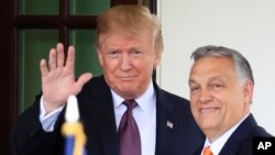 2019 թվականի մայիսի 13-ին ԱՄՆ նախագահ Դոնալդ Թրամփի և Հունգարիայի վարչապետ Վիկտոր Օրբանի հանդիպումը Սպիտակ տանը