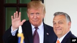 Поранешниот американски претседател Доналд Трамп и унгарскиот премиер Виктор Орбан