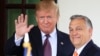 Експрезидент США Дональд Трамп (ліворуч) і голова уряду Угорщини Віктор Орбан мають тісні політичні стосунки, які зміцнювалися протягом багатьох років (фото: зустріч у Вашингтоні 2019 року)