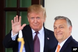 Trump cu Orban la Casa Albă în 2019.