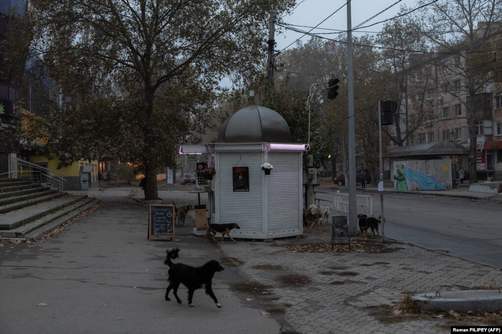 I cani randagi si radunano in una strada deserta nella città di Kherson.  La città è stata liberata dalle forze russe l'11 novembre 2022, dopo quasi otto mesi di occupazione.  Quasi un anno dopo, deve affrontare attacchi quotidiani.  Temendo per i bambini della città, i funzionari locali hanno istituito un programma per trasferirli temporaneamente in un campo di vacanza sulle montagne dell’Ucraina occidentale.   