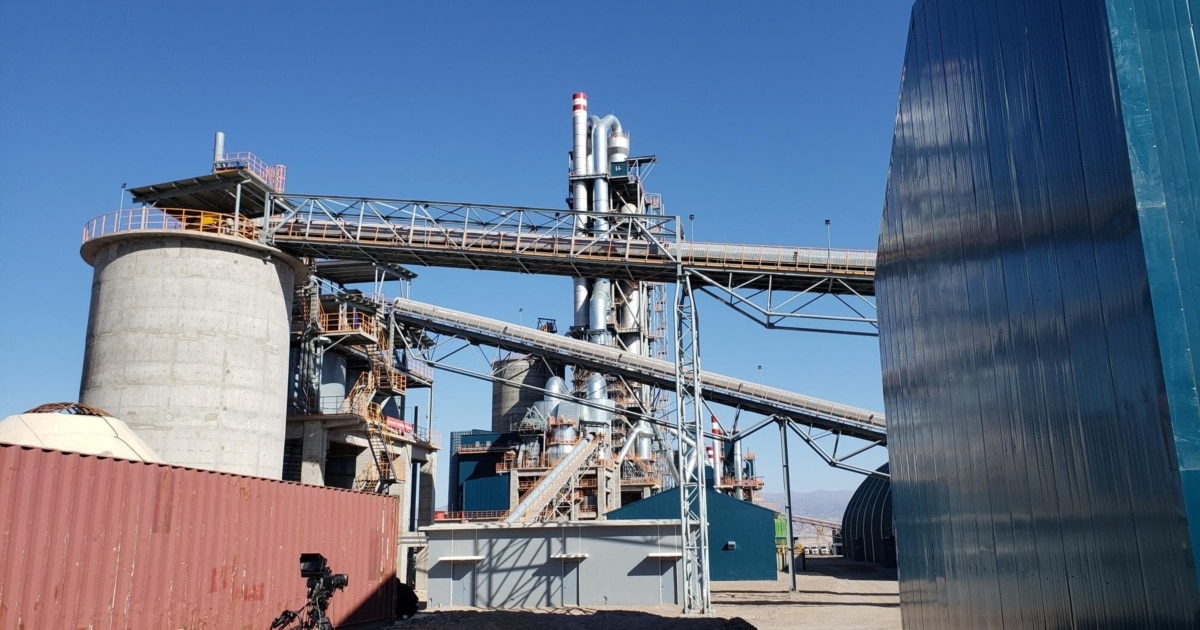 Дөңгелек жопы бар анал