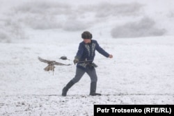 Një shpend përpiqet të kapë prenë e tij.