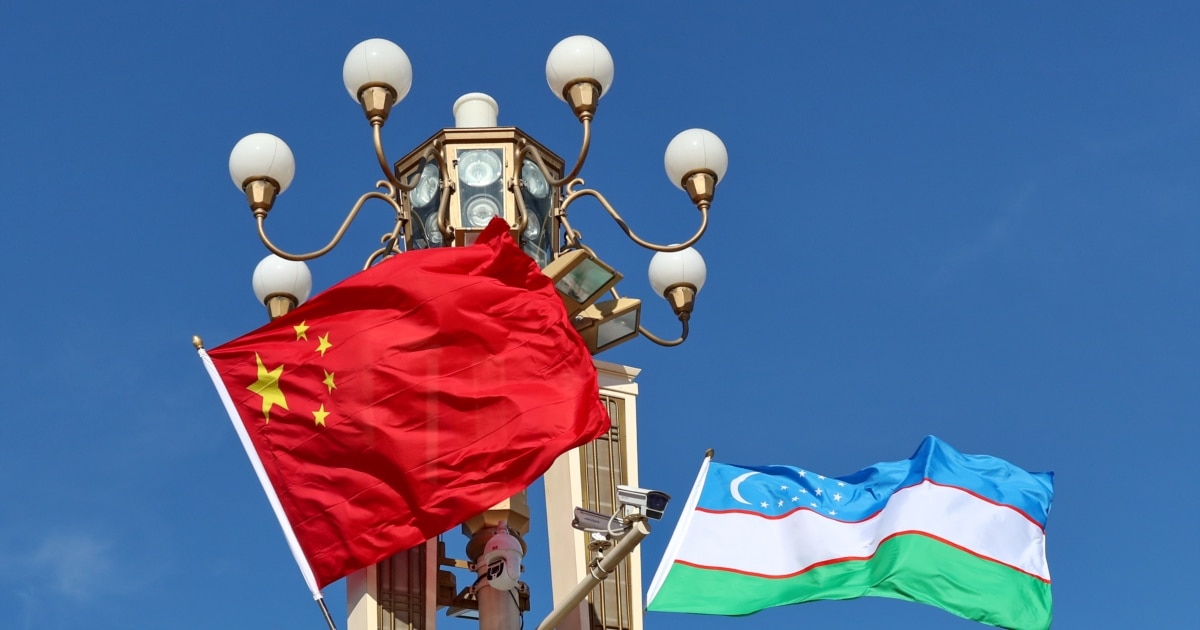 Видео секс туралы энциклопедия