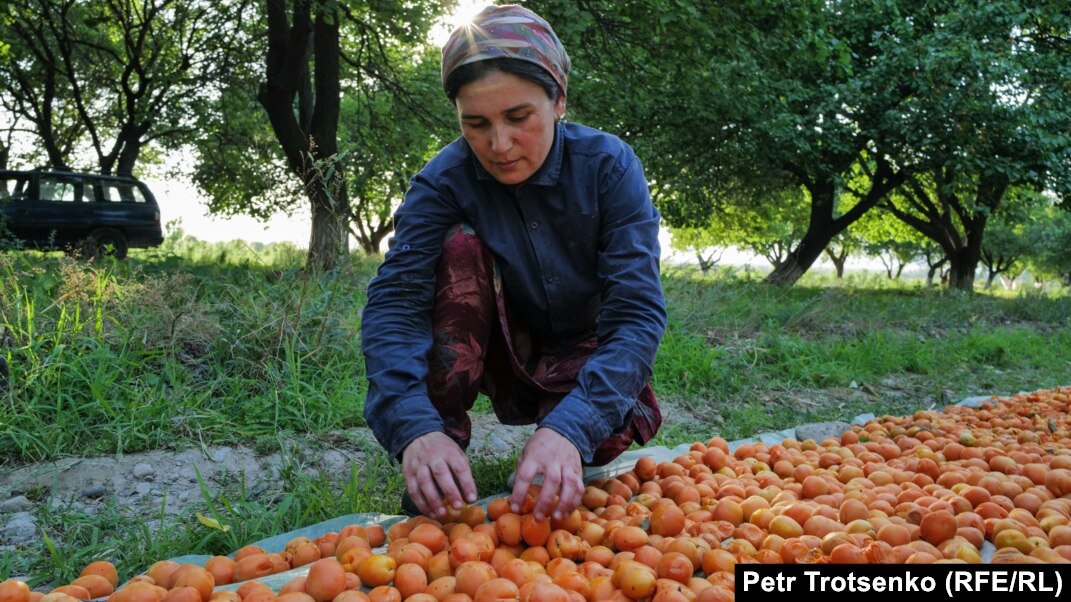 Жасырын камера порно дамашний