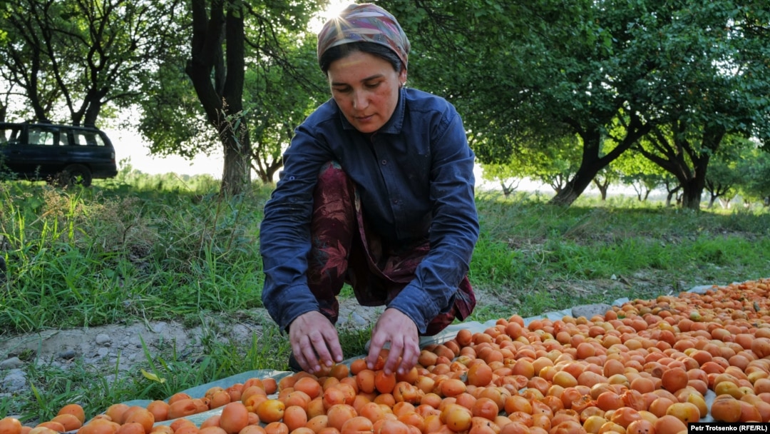 Русское порно сперму в ауызе глотаются бастап бірінші адам домашнее