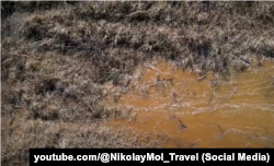 Вода йде в Крим неочищеним руслом Північно-Кримського каналу, скріншот відео кримського блогера Миколи Моля від 23 березня 2022 року