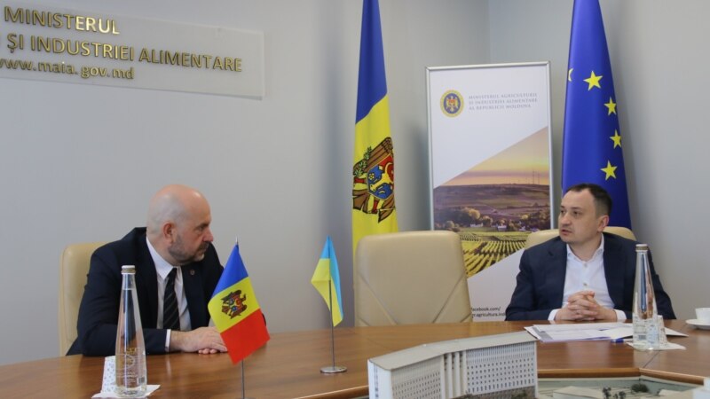 Ministrul Agriculturii a discutat cu omologul său de la Kiev despre interzicerea temporară a importurilor de cereale ucrainene în R. Moldova
