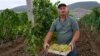 KOSOVO: Vehbi Shala at his Rahovec vineyard, in Kosovo