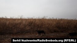 Українські військові на передовій. Донецька область, 26 жовтня 2023 року, ілюстративне фото