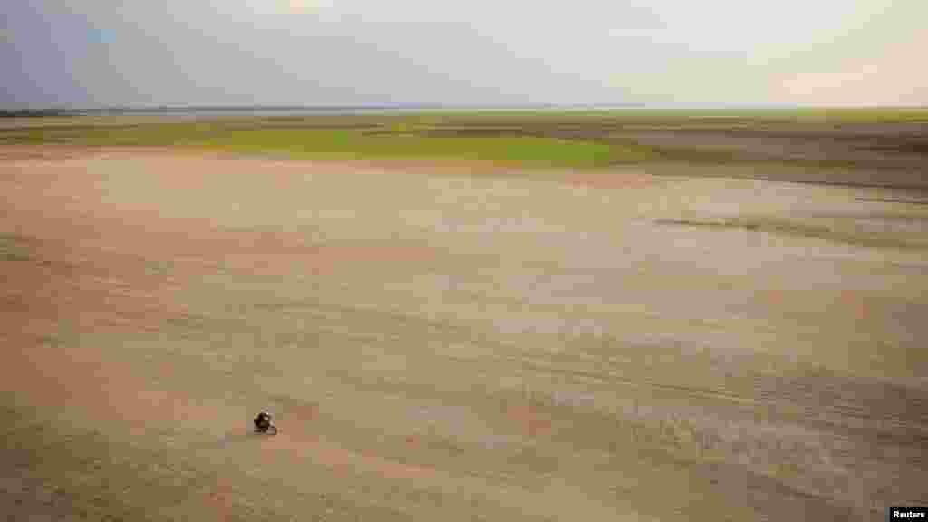 Vožnja motorom preko Tefea. Ovo jezero pogođeno je sušom rijeke Solimoes u brazilskoj državi Amazonas, 4. oktobra 2023.