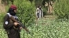 وزارت داخلهٔ حکومت طالبان استراتیژی چهار ساله را به هدف مبارزه با مواد مخدر طرح کرده است 