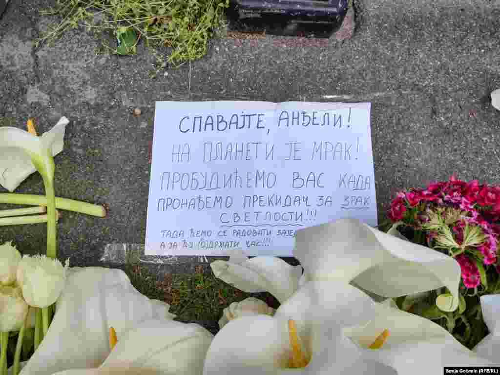 MUP Srbije je najavio strožu kontrolu svih vlasnika oružja. Nakon pucnjave je saopšteno da je dečak koristio očevo oružje u napadu.&nbsp;