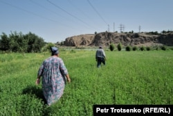 Locals in a field near the Farhad hydropower station