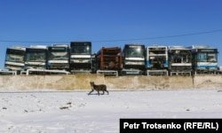Кладбище автобусов в городе Алатау. Алматинская область, 12 января 2024 года