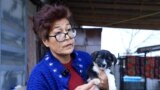 'Come To Me, My Babies': Caring For Stray Dogs In Rural Uzbekistan