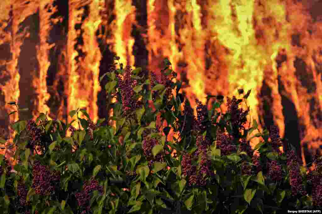 Lulet pranë një ndërtese të djegur pas granatimeve në qytetin Çasiv Jar në rajonin Donjeck të Ukrainës.
