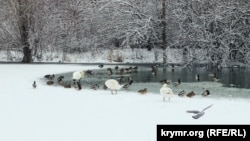 Гагаринский парк в Симферополе. Крым, 14 января 2024 года